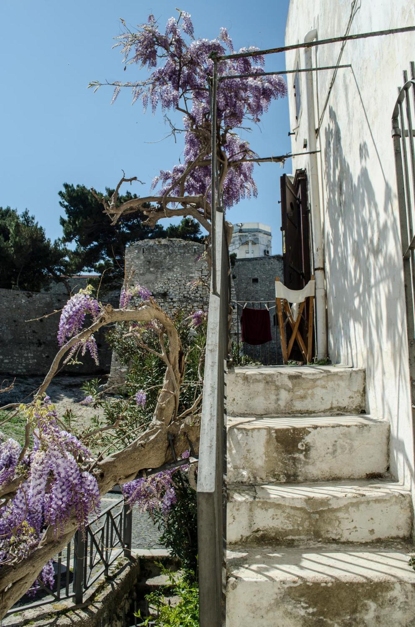 Torre La Mezzaluna Bed & Breakfast Vieste Dış mekan fotoğraf