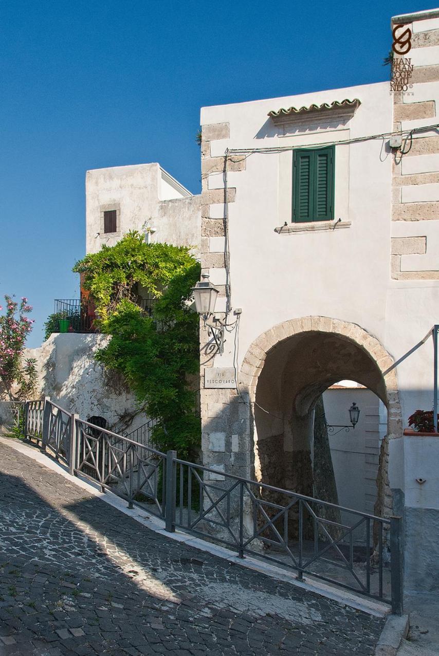 Torre La Mezzaluna Bed & Breakfast Vieste Dış mekan fotoğraf